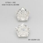 bk-131-bk-163-BK-131_5845