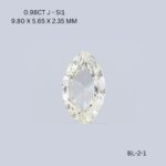 bl-2-1-BL-2-1_8373