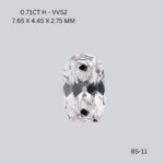 bs-11-BS-11_9498