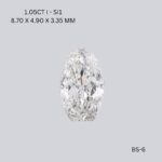 bs-6-BS-6_9490