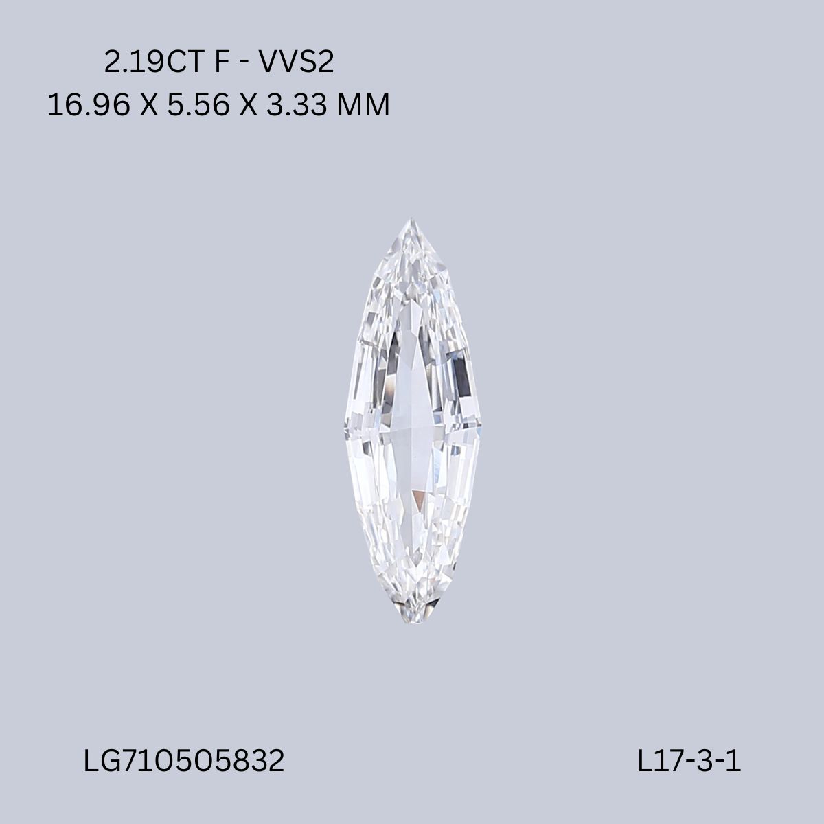 l17-3-1-L17-3-1_8033