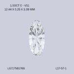 l17-57-1-L17-57-1_9364