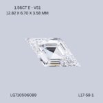 l17-58-1-L17-58-1_8242