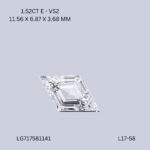 l17-58-L17-58_8862