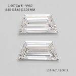 l18-57-1-l18-57-L18-57-1_9263