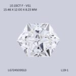 l19-1-L19-1_9366