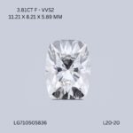 l20-20-L20-20_8284-1