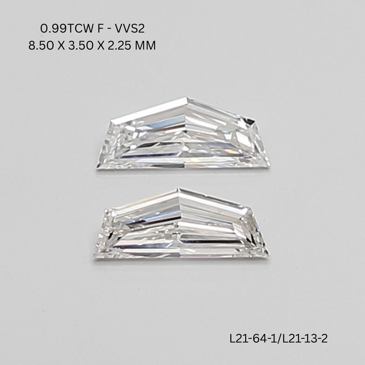 l21-64-1-l21-13-2-L21-64-1_9825