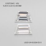 lg13-14-4-lg14-21-3-LG13-14-4_7841