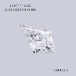 lg14-16-1-LG14-16-1_8646