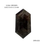 spb-103-SPB-103_8546