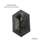 spb-107-SPB-107_8541