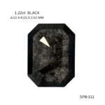 spb-111-SPB-111_8574