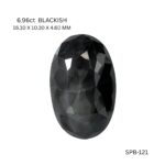 spb-121-SPB-121_8696