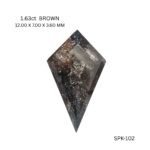 spk-102-SPK-102_8525