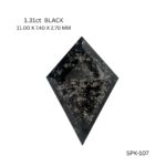spk-107-SPK-107_8513