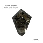 spk-111-SPK-111_8687