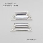 bn-21-1-bn-21-BN-21-1_9898