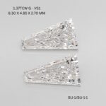 bu-1-1-bu-1-BU-1-1_9926