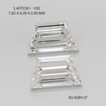 bu-8-bv-27-BU-8_10038