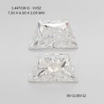 bv-11-bv-12-BV-11_9952