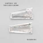 bv-19-1-bv-19-BV-19-1_9962