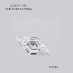 l17-29-1-L17-29-1_10106