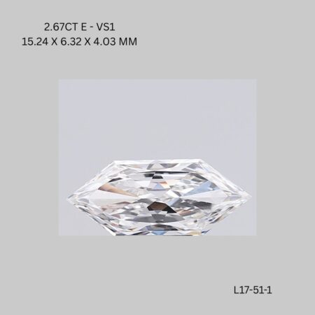 2.67 CT E VS1 OCTAGONE diamond Fancy Shape