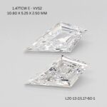 l20-13-2-l17-60-1-L20-13-2_10680